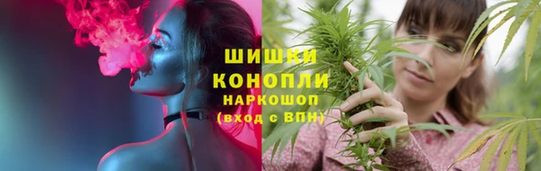 твердый Новосибирск