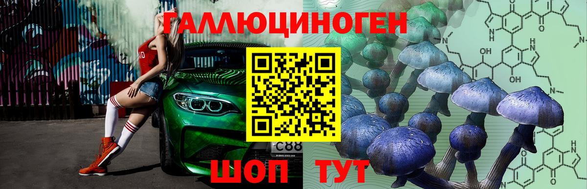 Псилоцибиновые грибы Cubensis  Вход с VPN  Старый Оскол  Галлюциногенные грибы Psilocybe 